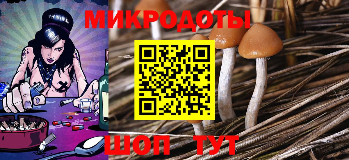 Биробиджан  Галлюциногенные грибы Cubensis  Вход с VPN  Псилоцибиновые грибы Psilocybine cubensis 